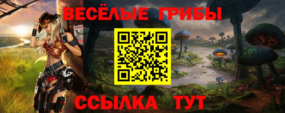 купить закладку  Вход с VPN  Пушкино  Псилоцибиновые грибы прущие грибы  Галлюциногенные грибы прущие грибы 