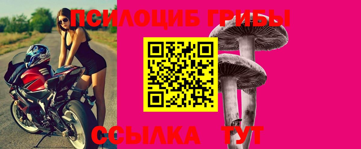 Галлюциногенные грибы мухоморы Пушкино